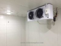 freezer-room-for-ice-cream freezer room for ice cream