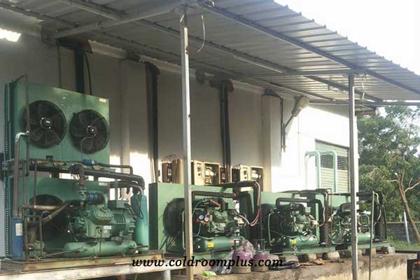 parallel bitzer condensing unit case