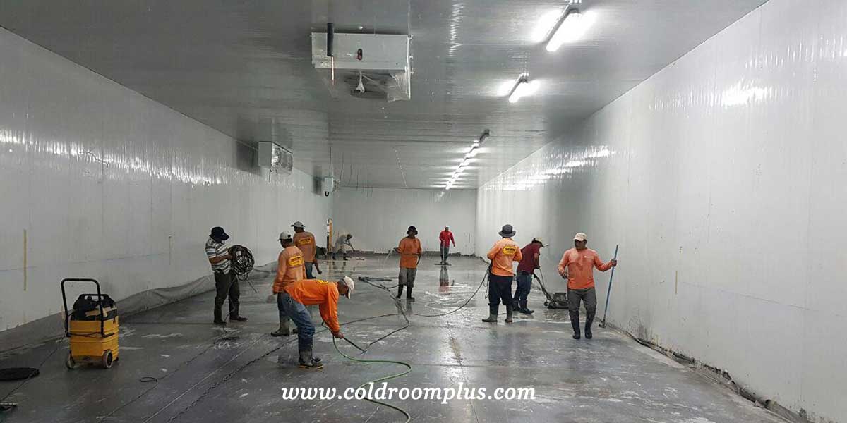 Seafood Freezer Room in Australia