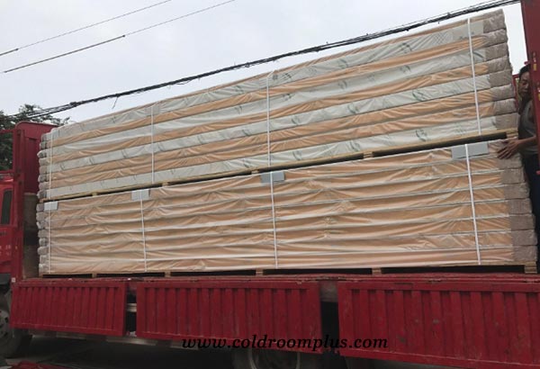 Beef freezer room pu panel in Ghana