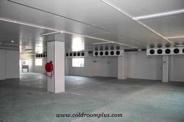 Potato Cold Room Design and Installation In Nigeria