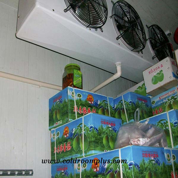 High performance Chiller Room for Fruit Storage