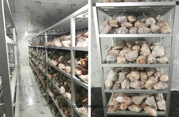 Room Freezer in Peru