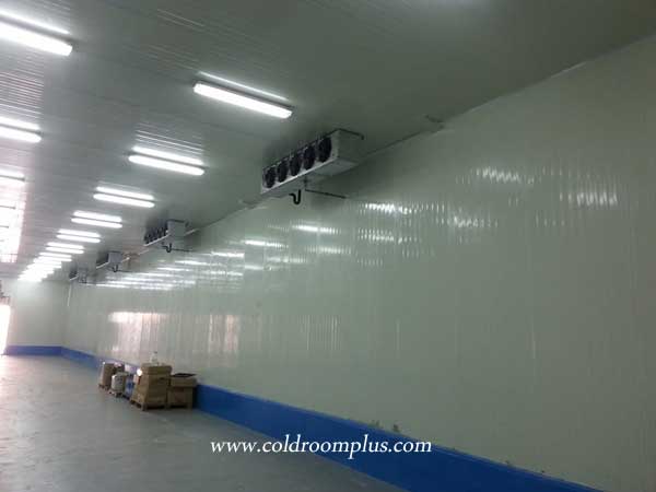 Freon cold room equipment cold storage