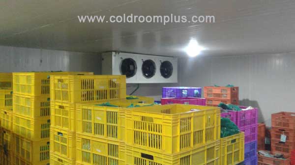 cold storage room systems for vegetable