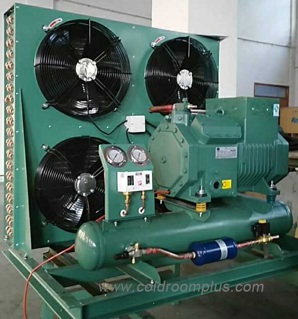 Bitzer condensing unit for commercial freezer room