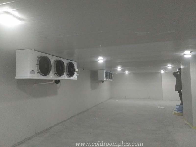 Air cooler for fruit cold storage room