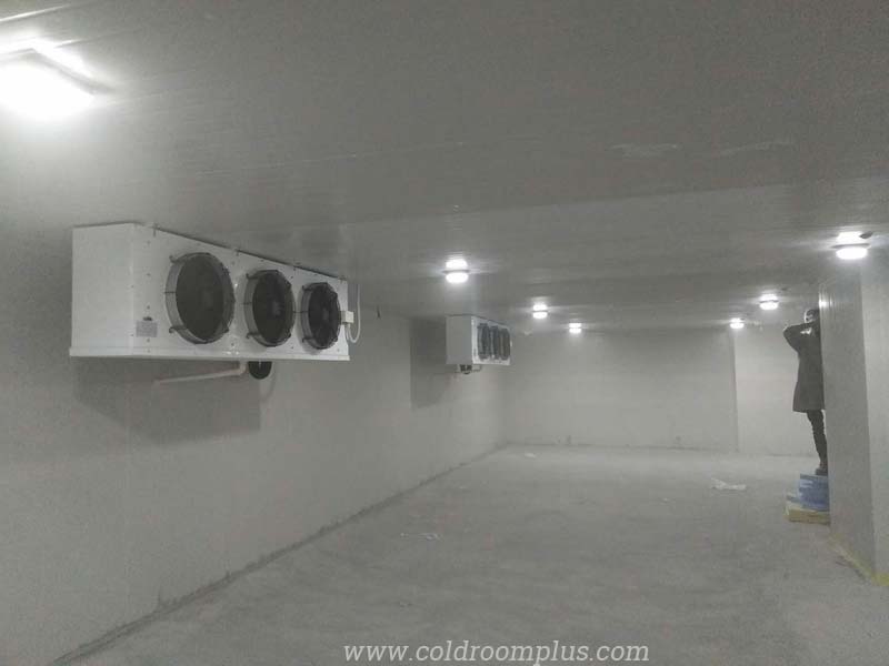 Fruit Cold Storage Room for Sale in Uzbekistan