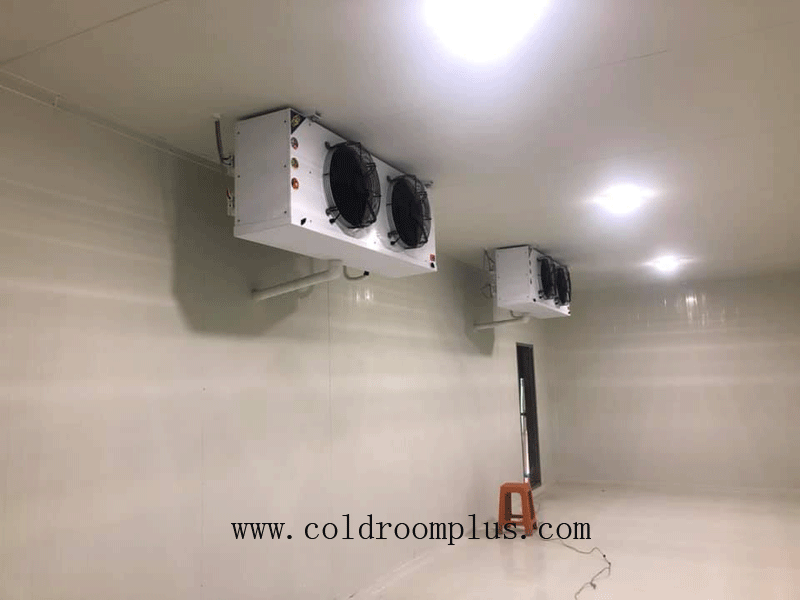 Chiller Room for Sale, Cold Room, Cooler Room, Fruit Chiller Room