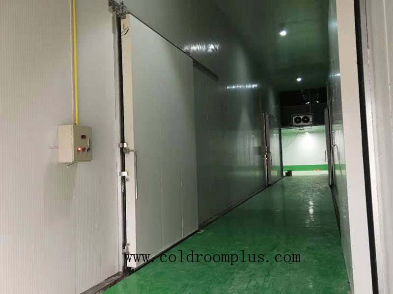 Vegetable Cold Rooms in Singapore