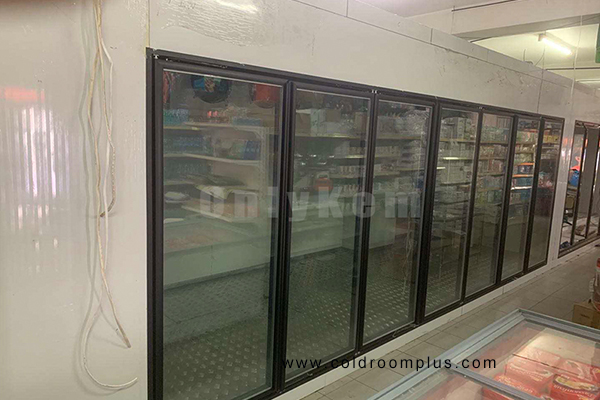 Display Cold Room Walk in Cooler Glass Door