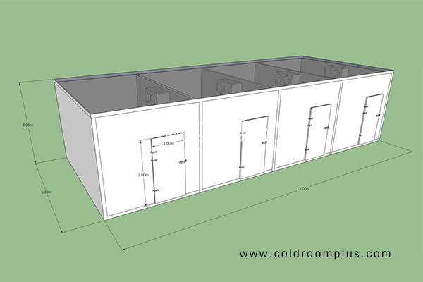 Banana Ripening Cold Storage Room