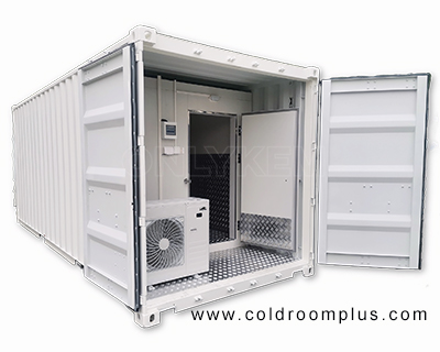 20ft/40ft Container Cold Room
