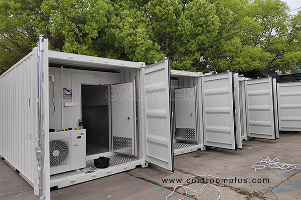 Container Cold Room in Australia