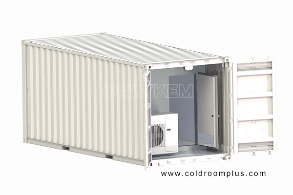 20ft container cold room