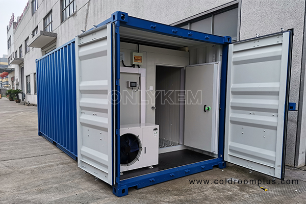 OnlyKem Container Cold Storage