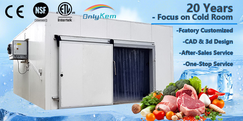 移门冷库详情-1 Walk in Cold Room Storage