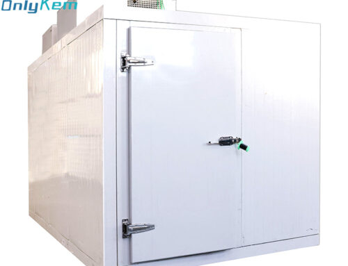 OnlyKem Successfully Launches Cold Storage Project for Latvian Desserts