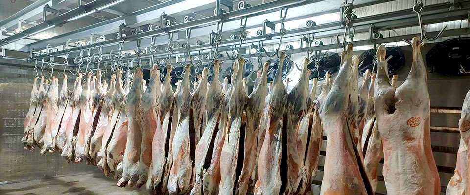 Slaughter cold storage