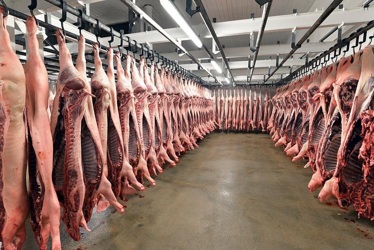 Hanging meat track cold storage Hanging meat track cold storage
