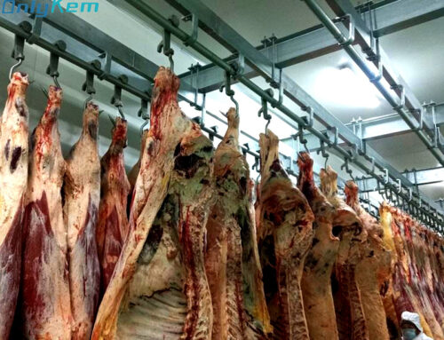 Why choose a cold storage with a meat hanging track？