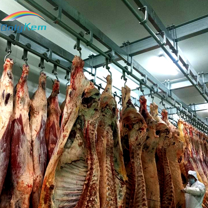 Hanging meat track cold storage