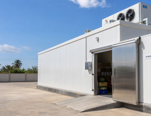 Walk in Cold Room Project in Ghana: How a Cold Room Saved a Seafood Business